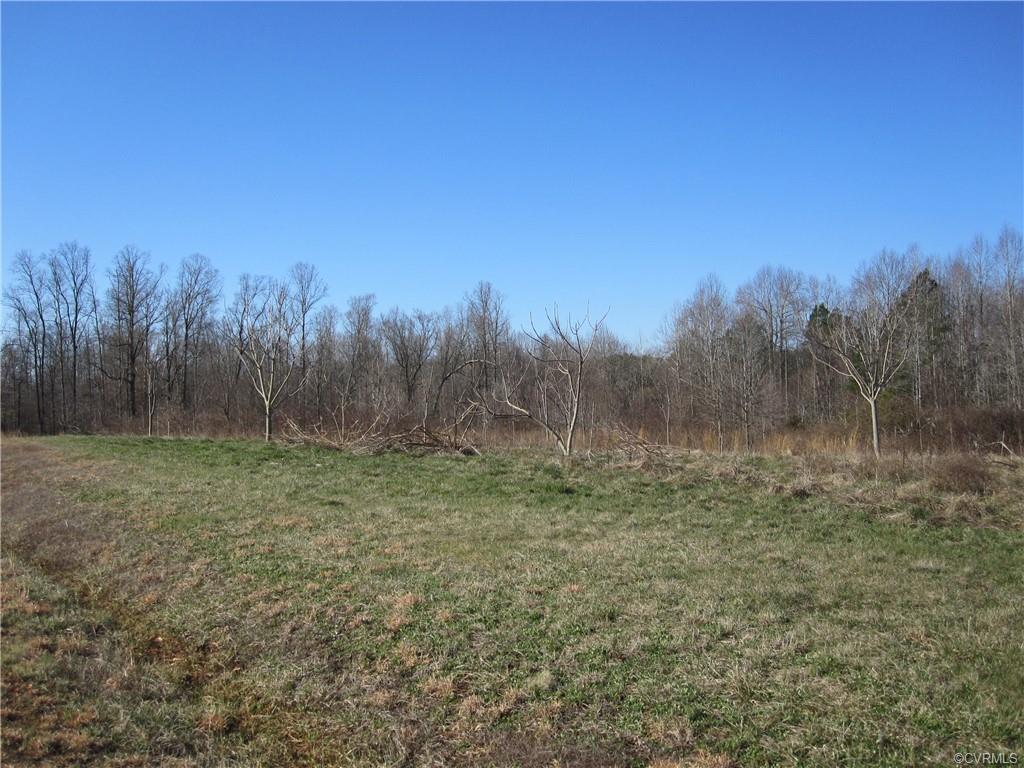 4 Mill Branch Way - Photo 1