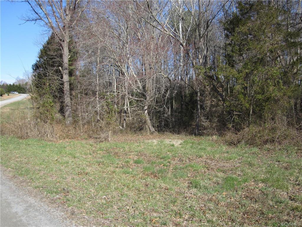 3 Mill Branch Way - Photo 1
