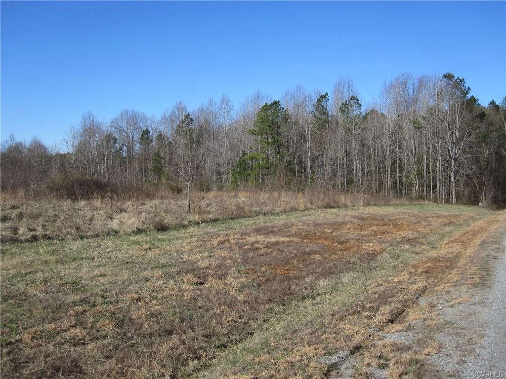 2 Mill Branch Way - Photo 1
