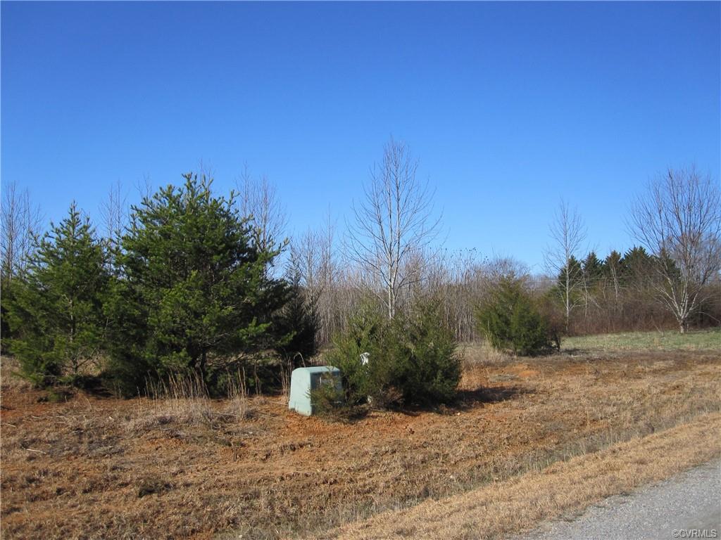 1 Mill Branch Way - Photo 1