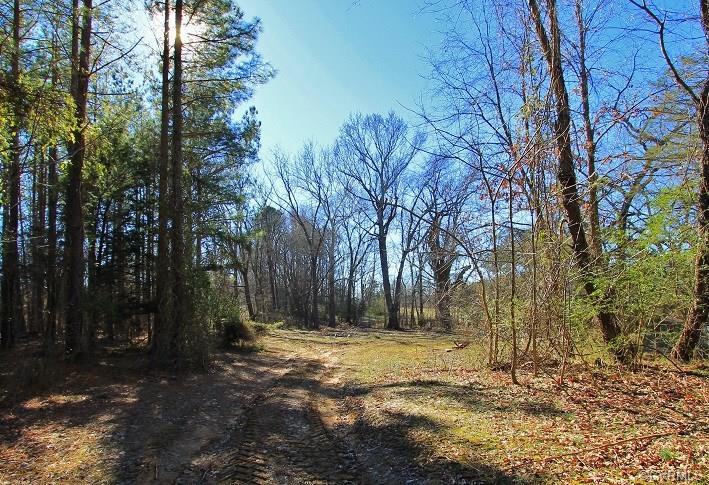 20 Acres Amelia Ave - Photo 1
