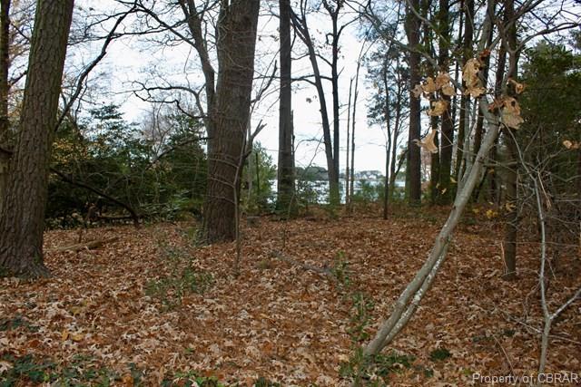 00 Pine Tree Lane - Photo 1