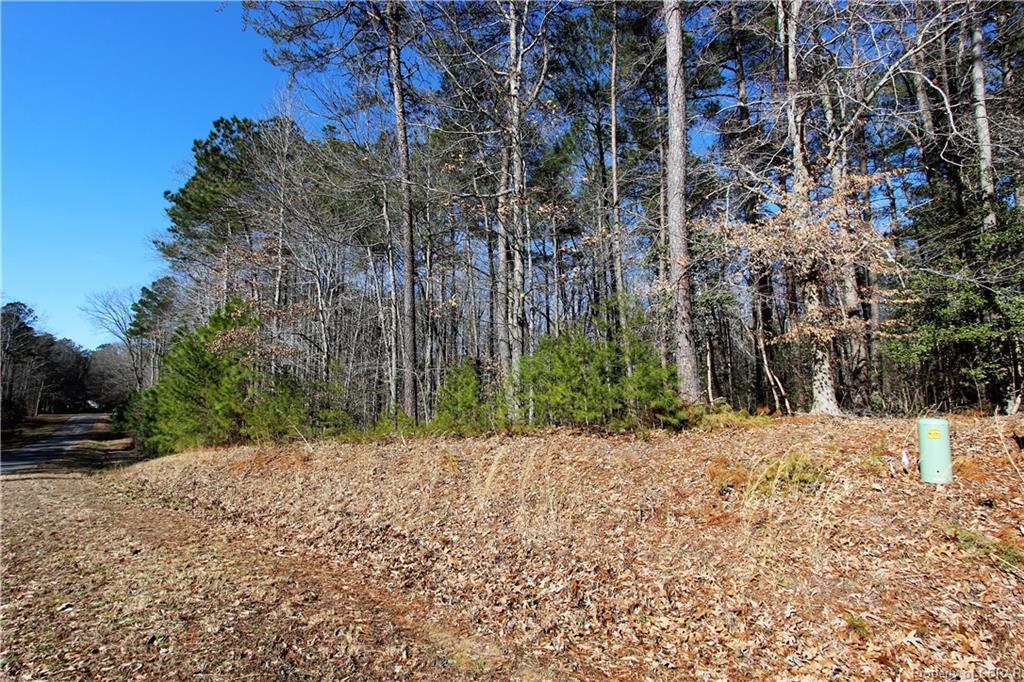 Lot 14 Deerwood Court - Photo 1