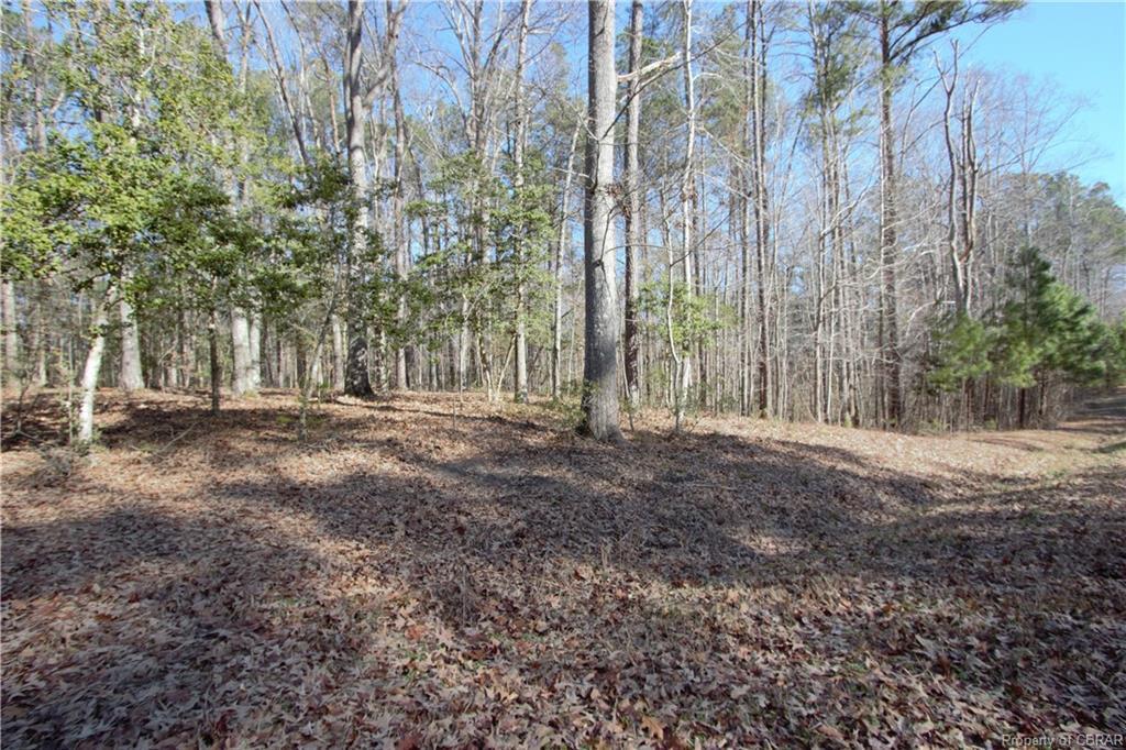 Lot 15 Deerwood Court - Photo 1