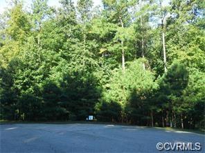 12406 Chesdin Manor Court - Photo 1