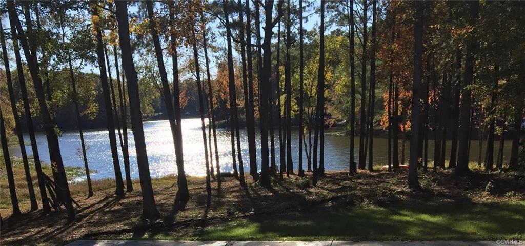 15512 Chesdin Manor Drive - Photo 1