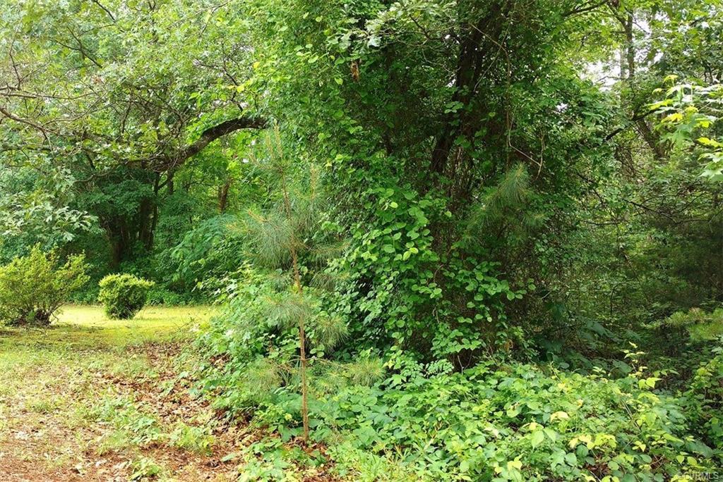 2.3 Acres, Paradise Lane - Photo 1