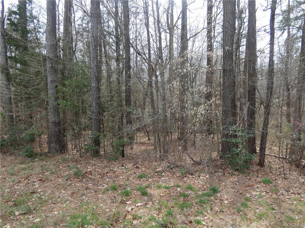 16060 Flatfoot Road - Photo 1