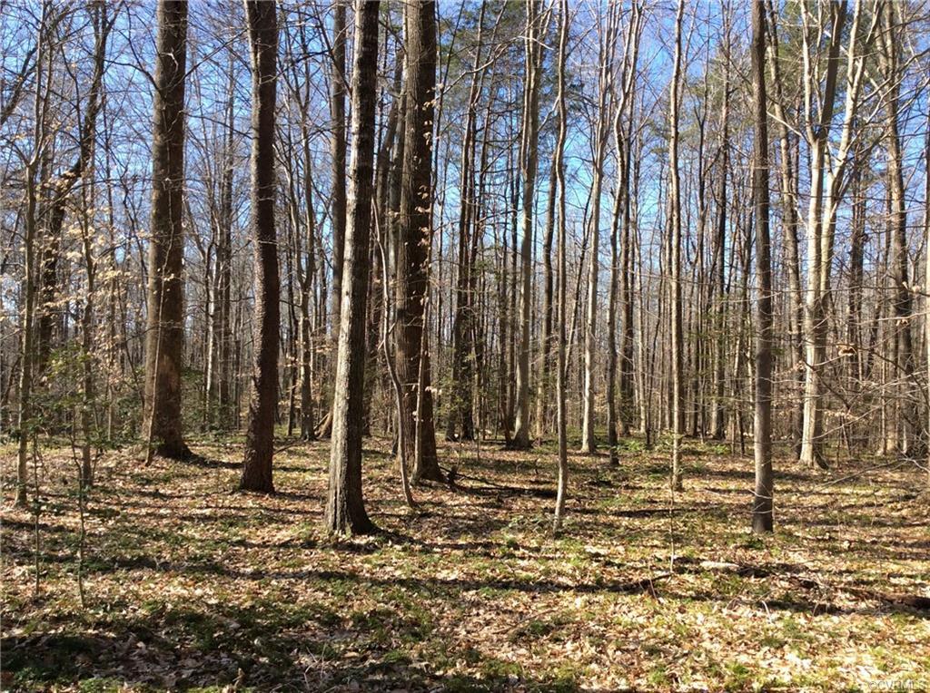 0 Apple Grove Road - Photo 1