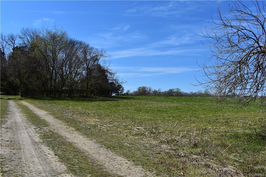 3613 Harvie Road - Photo 1