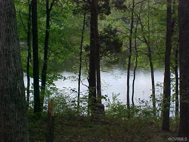 0 Lake Pointe Court - Photo 1