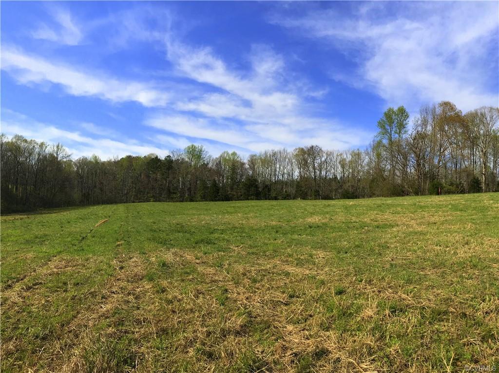 10.819 Acres Patrick Henry Highway - Photo 1