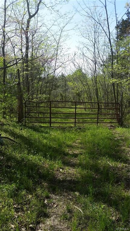 0 Marlin Road - Photo 1