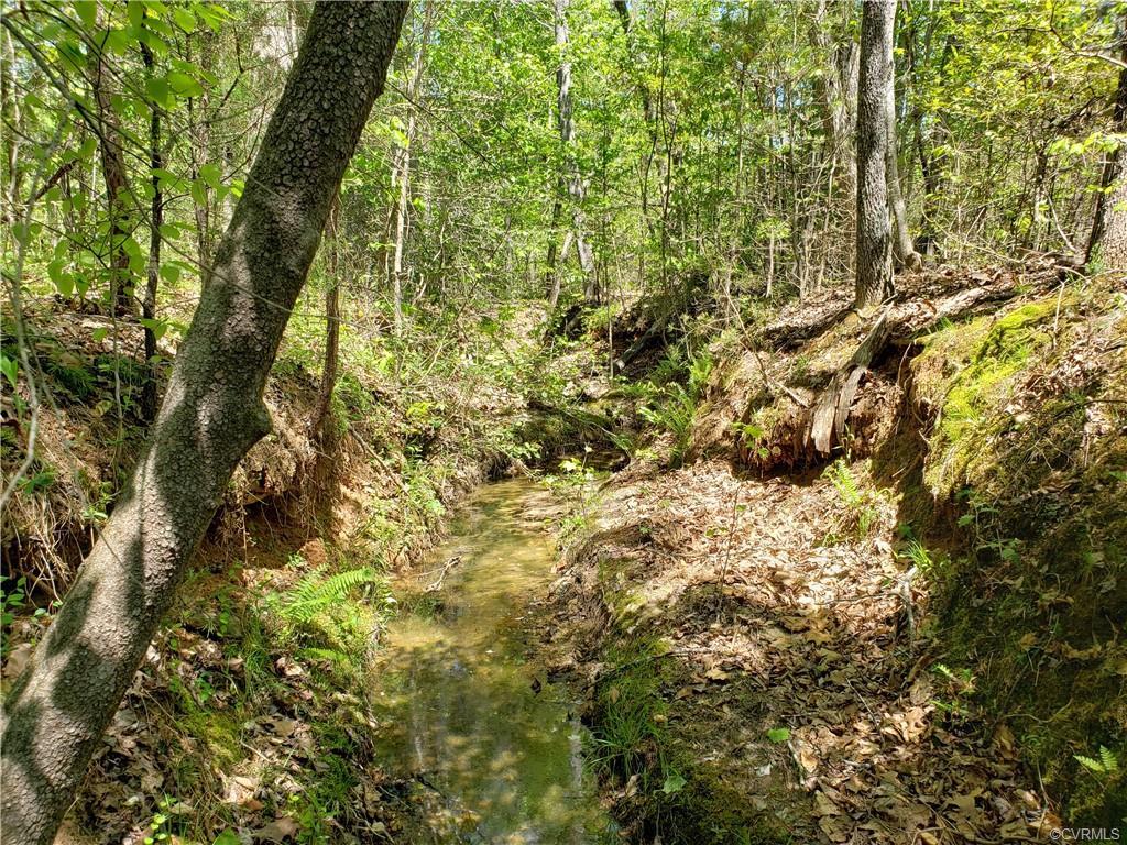 0 Ragland Road - Photo 1
