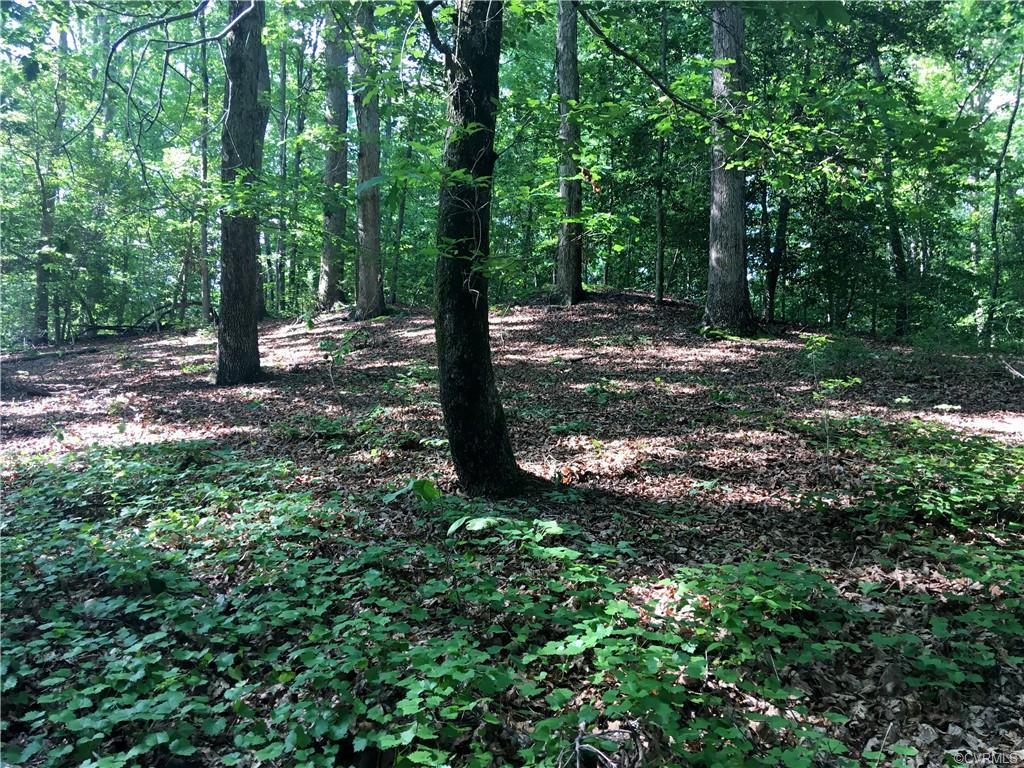 0 Walkerton Road - Photo 1