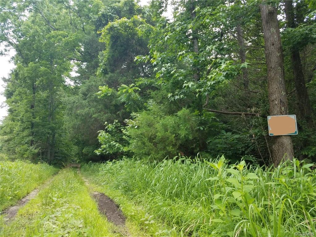 0 Oneal Road Road - Photo 1