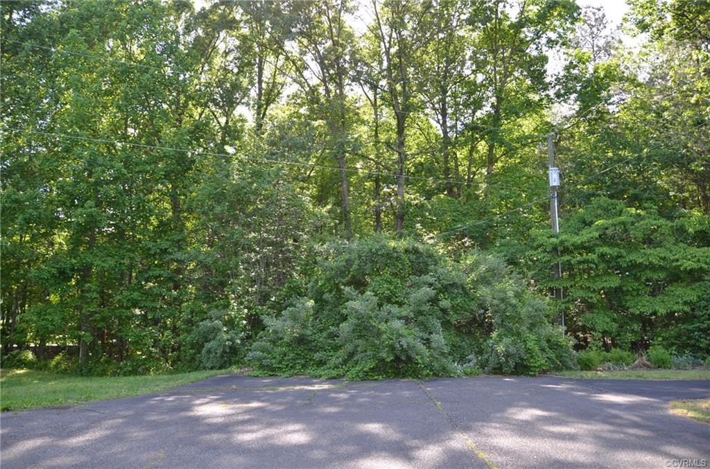0 Robinson Forest Trail - Photo 1