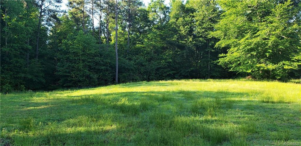 116 Brijadan Lane - Photo 1