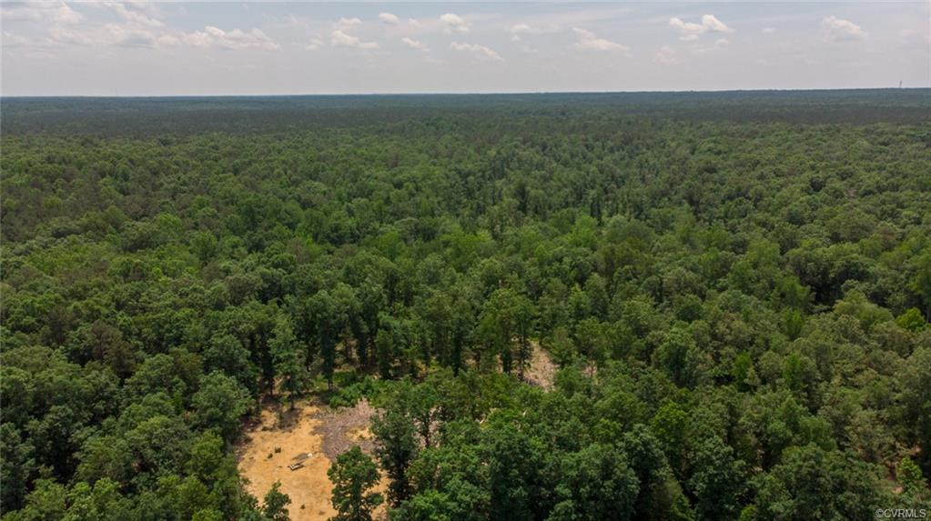 8013 Reedy Branch Road - Photo 1