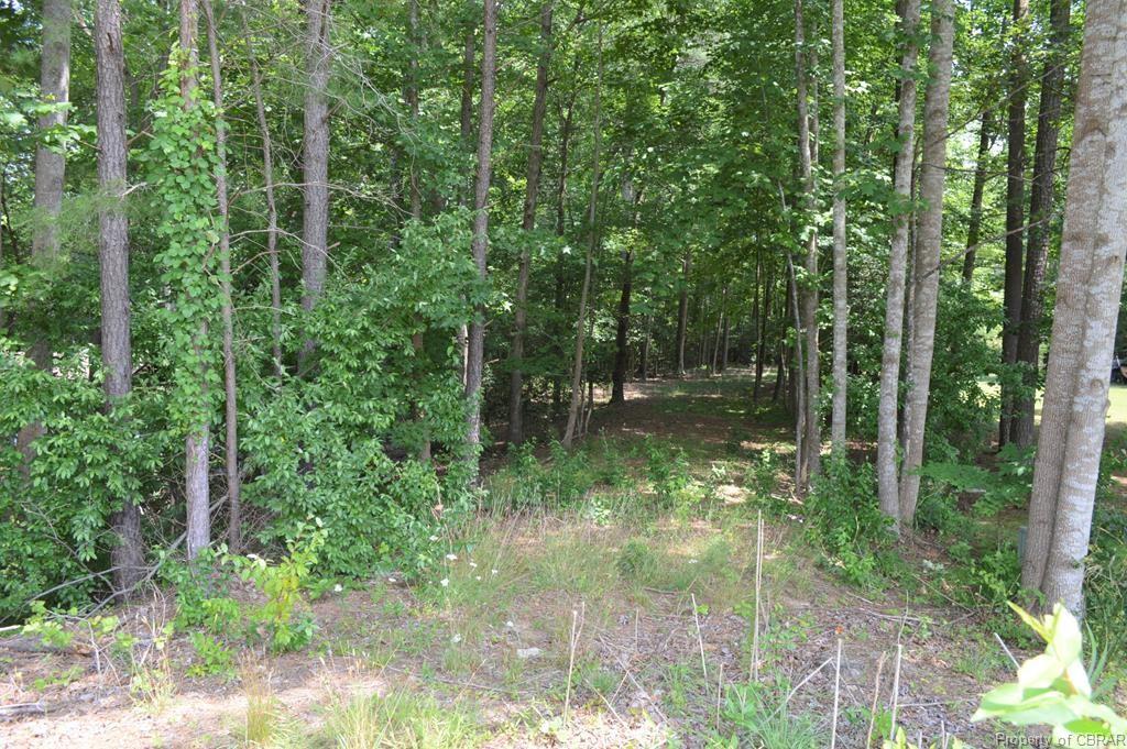 0017 Dabbler Drive - Photo 1