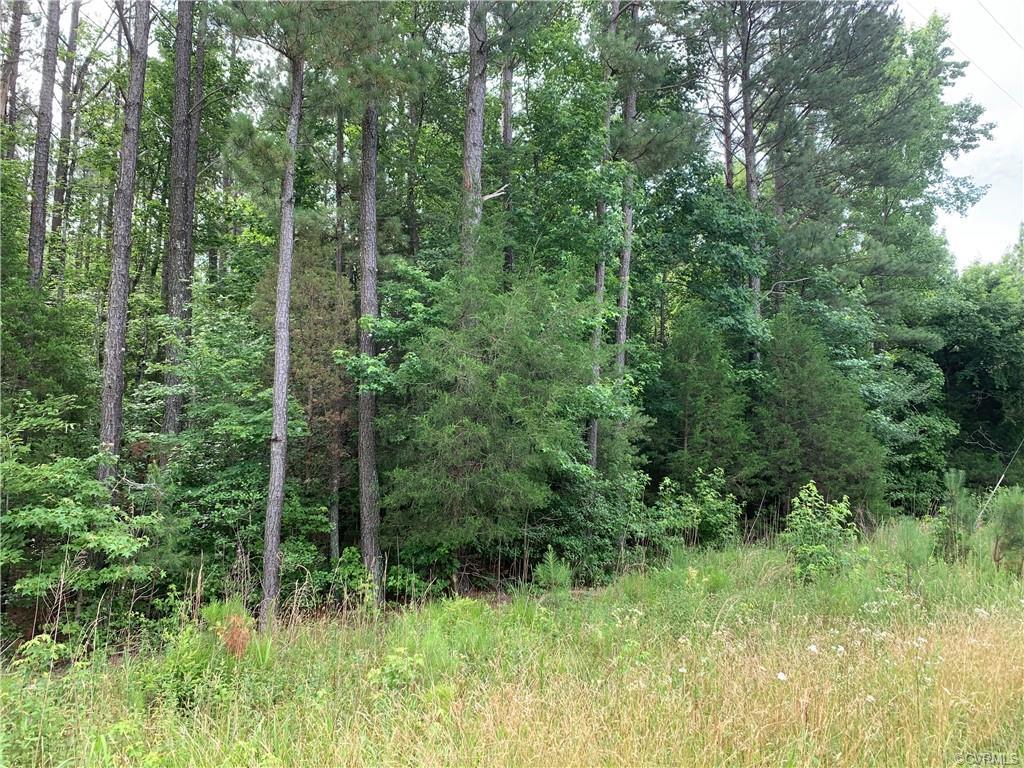 0 Mount Olive Cohoke - Photo 1