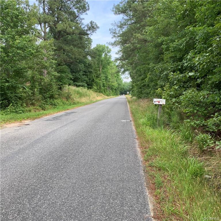 00 Mount Olive Cohoke - Photo 1
