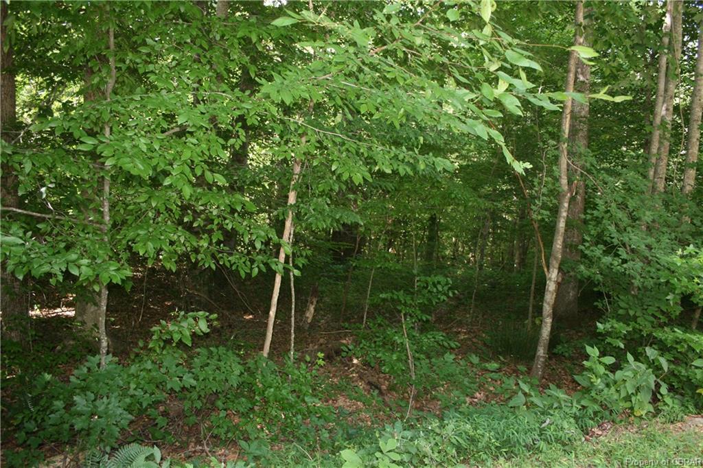 00 Crany Creek Drive - Photo 1