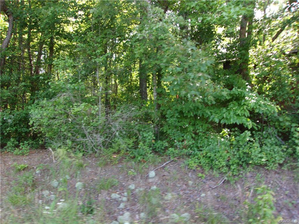 000 Reesetown Rd - Photo 1