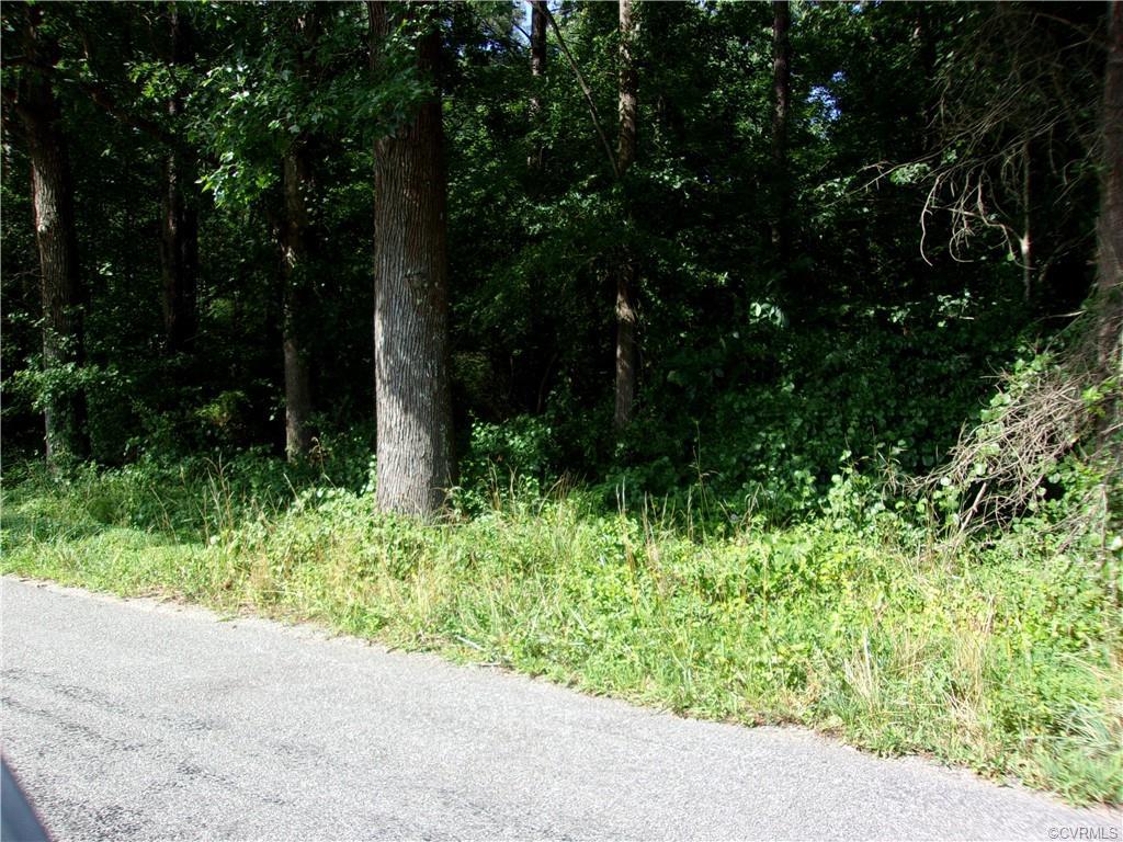 000 Little Mile Rd Road - Photo 1