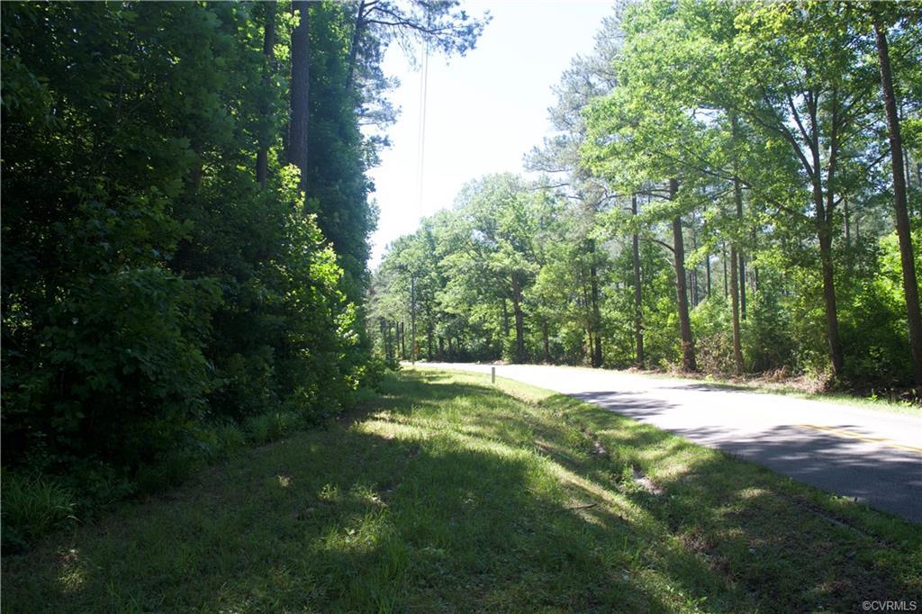 0 Custis Millpond - Photo 1
