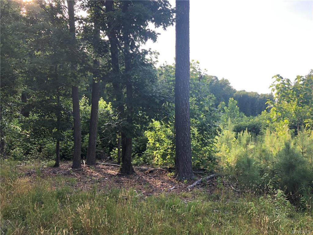 0 Winston Road - Photo 1