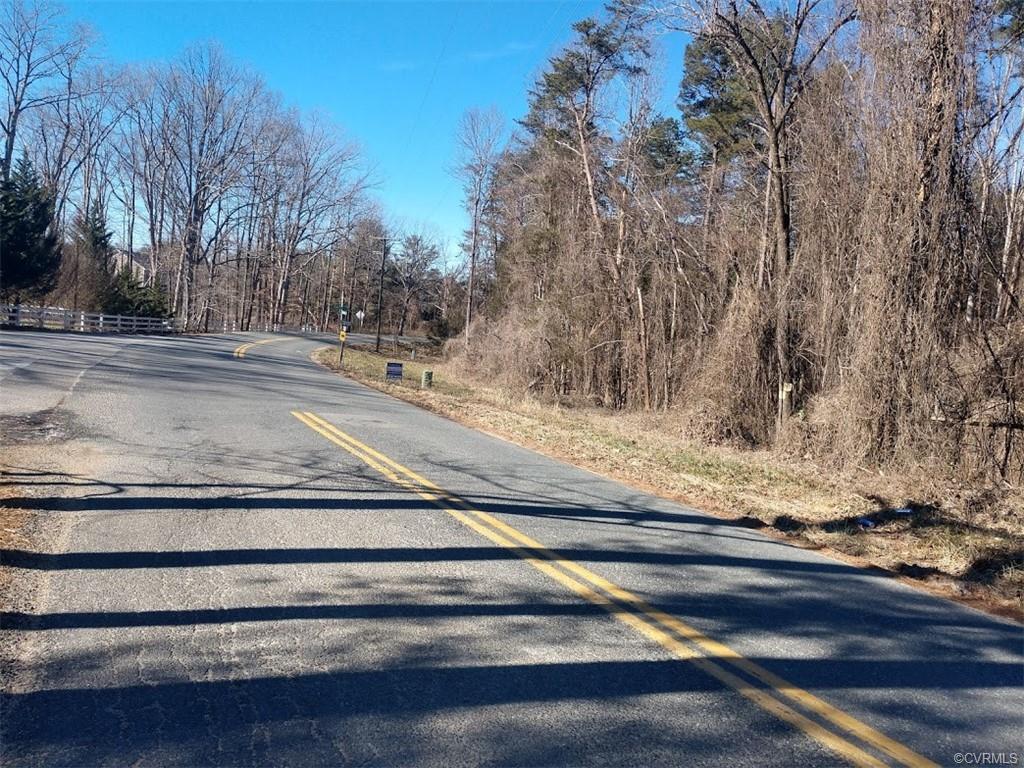 000 Stubbs Bridge Road - Photo 1
