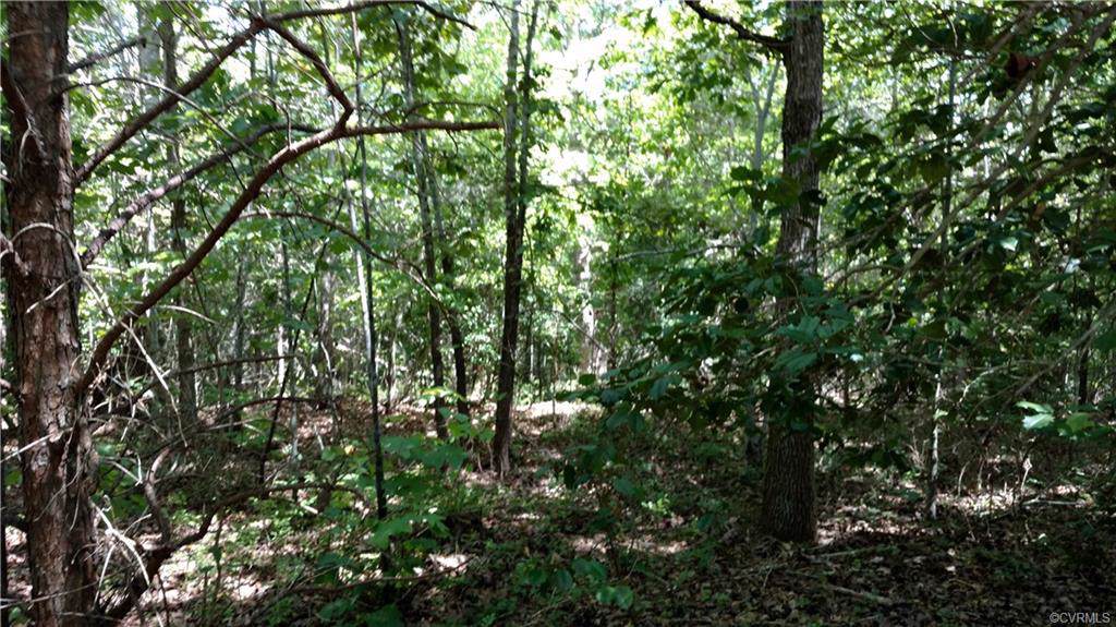 1698 Mills Road - Photo 1