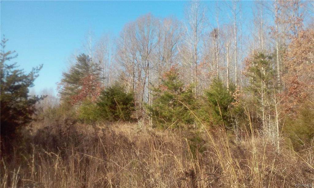0000 Buckner Road - Photo 1