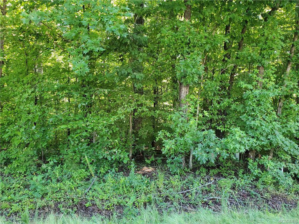 0 Old Mountain Rd - Photo 1