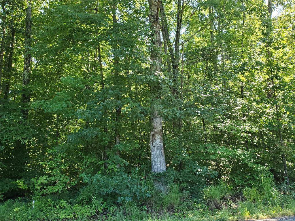 0 Old Mountain Rd - Photo 1