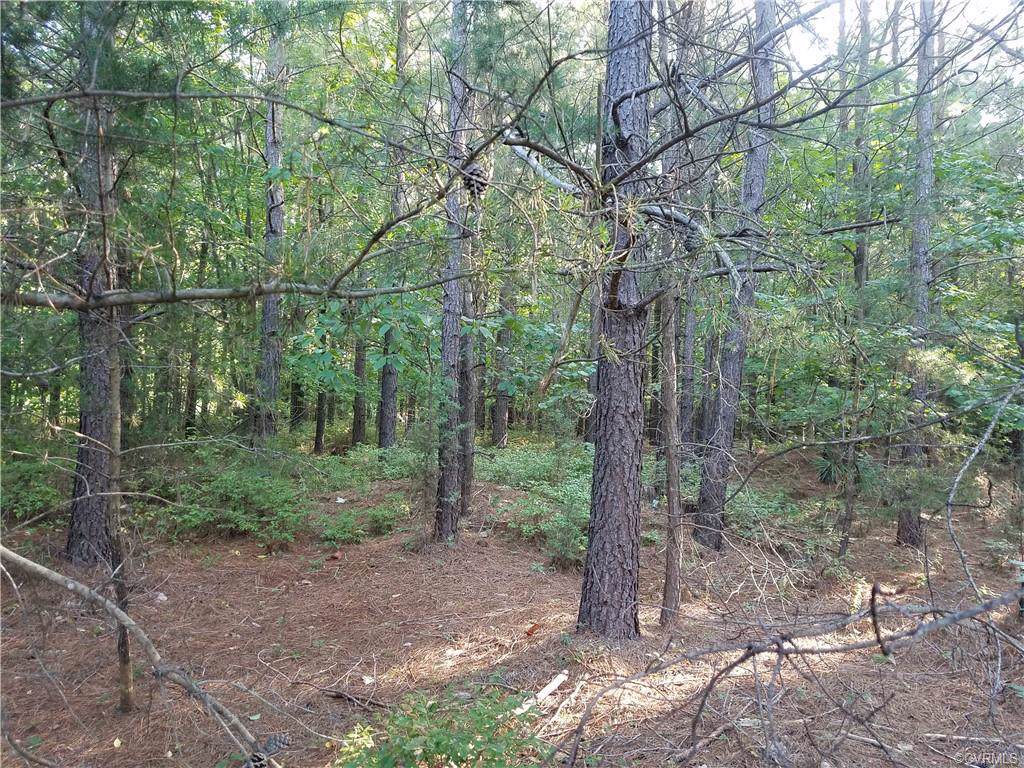 1600 Chopping Road - Photo 1