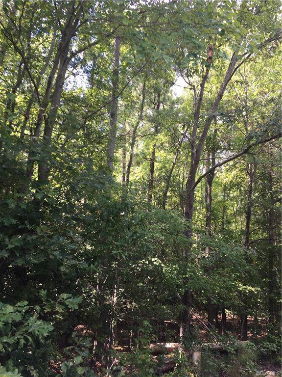 0 Dabney Lane - Photo 1