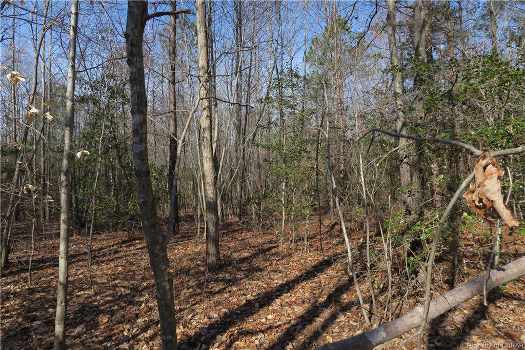 00 Old Orchard Drive - Photo 1