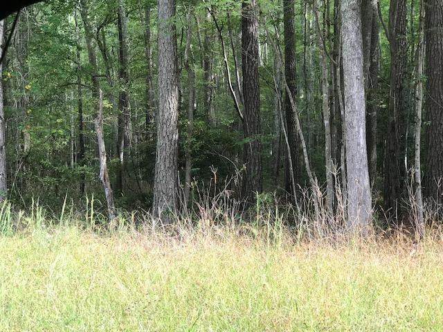 629 Chapel Neck Road - Photo 1