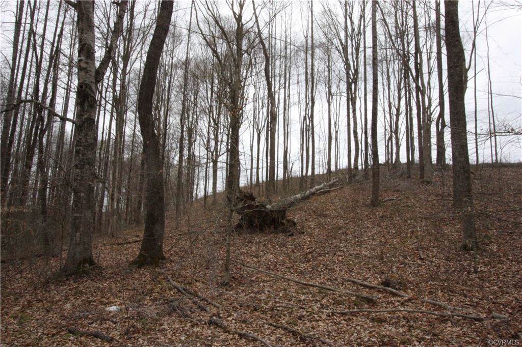 0 Kennon Road - Photo 1