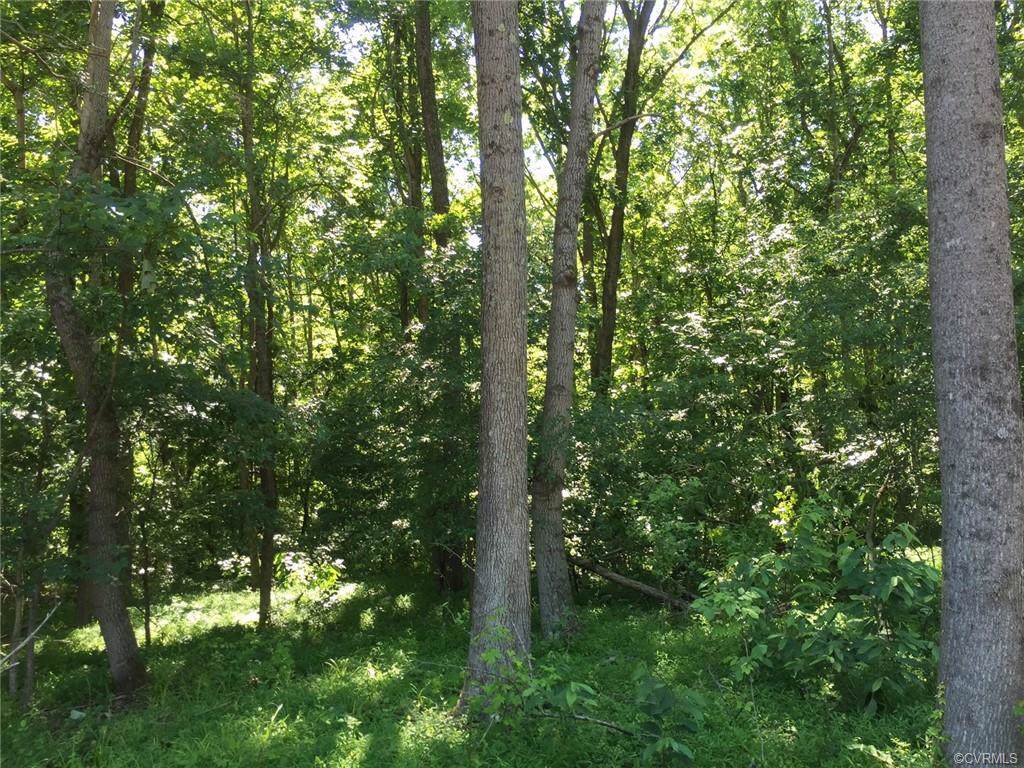 13309 Stanleys Mill Trail - Photo 1 13309 Stanleys Mill Trail - Photo 1