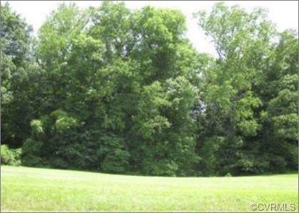 83 Portobago Trail - Photo 1