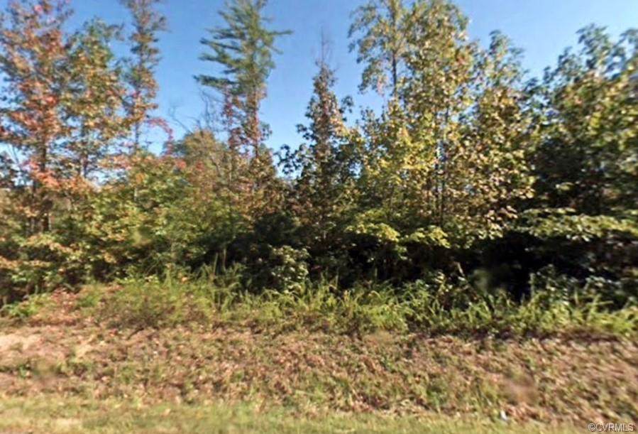 TBD Jackson Road - Photo 1