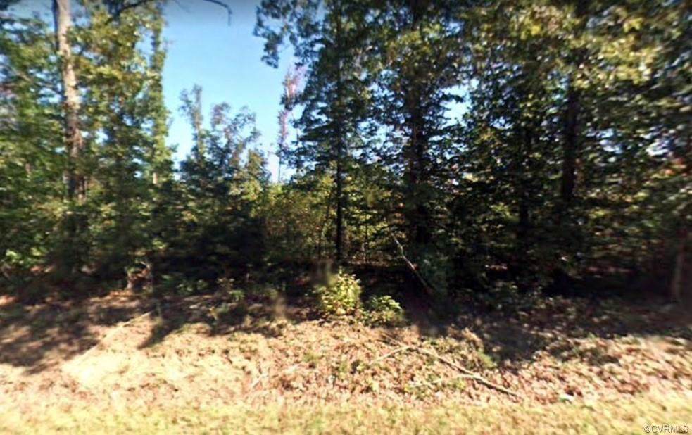 TBD Jackson Road - Photo 1