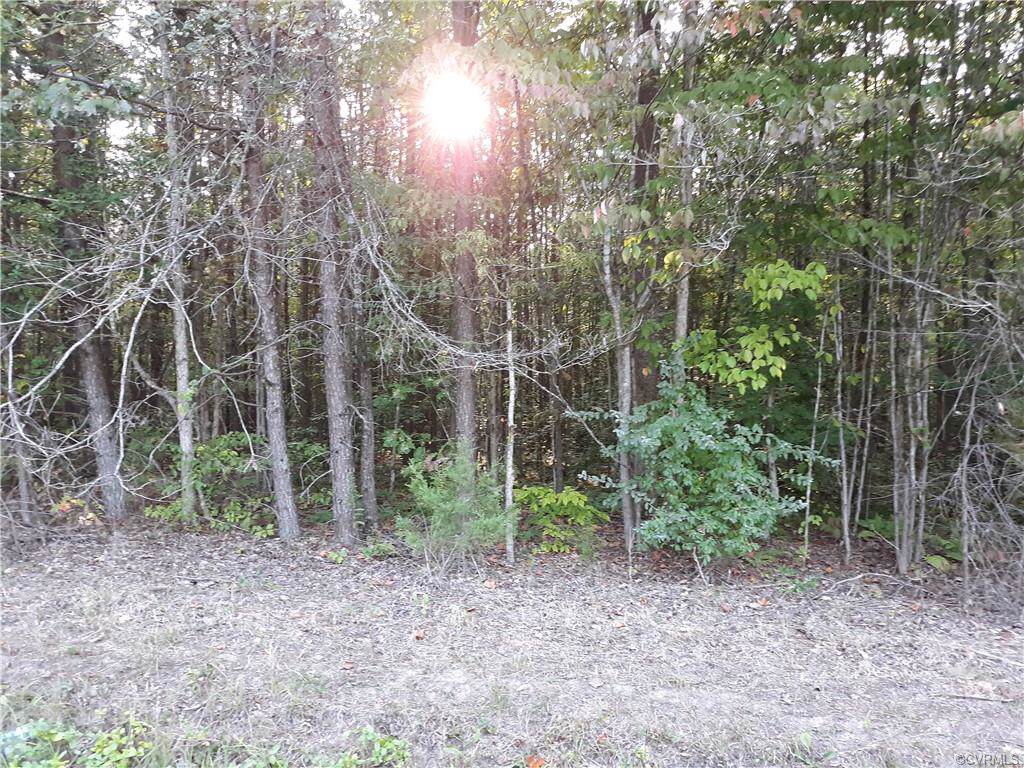 00 Hickory Creek Road - Photo 1 00 Hickory Creek Road - Photo 1