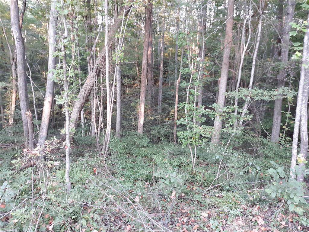 0 Hickory Creek Road - Photo 1