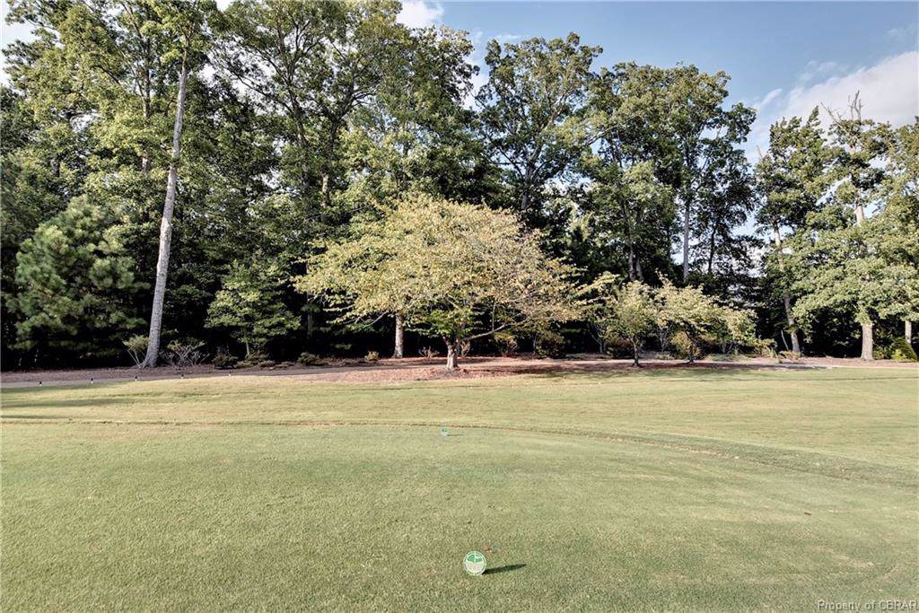 2289 Island Road - Photo 1