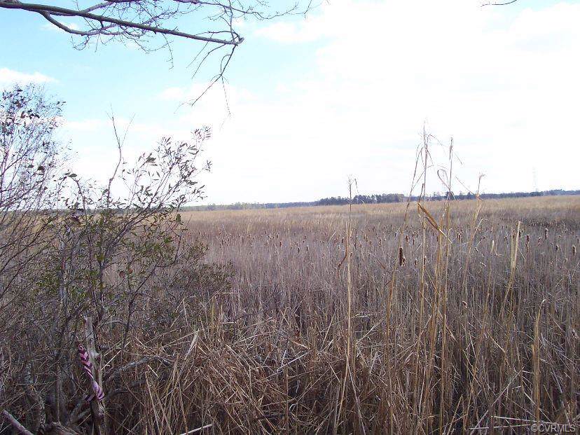 6 Acres Chelsea Rd. - Photo 1