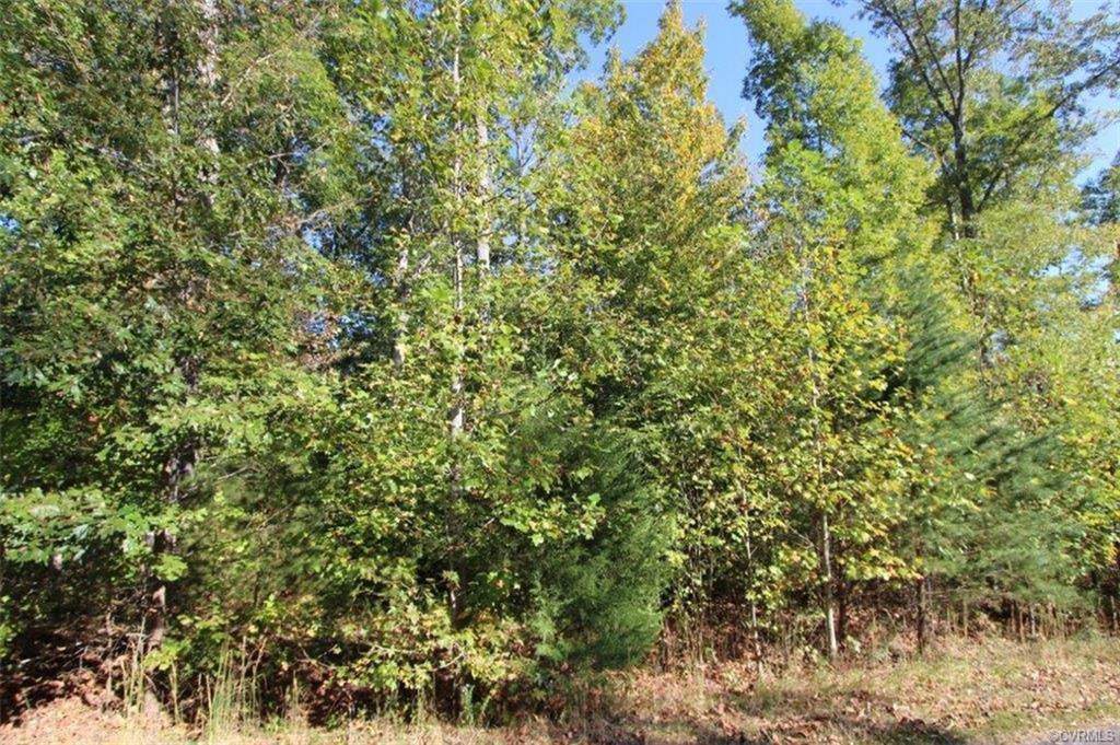 Lot 6 Briarwood Drive - Photo 1
